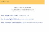NOVAS TECNOLOGIAS NA PRODUÇÃO DE PETRÓLEOinstmed/Franca_SBPC_2006.pdf · 12% da produção mundial total (de 25 bilhões de boe) é de óleo pesado O Brasil nada produz de óleo