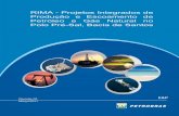 RIMA - Projetos Integrados de Produção e Escoamento de ... · Pilotos de Produção (áreas de Guará, bloco BM-S-9, e Tupi NE, bloco BM-S-11); e 1 locação para o Desenvolvimento