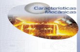 CARACTERÍSTICAS MECÂNICAS - hpeletromecanica.com.brhpeletromecanica.com.br/manual motores ac - carac mec.pdf · C-4 CARACTERÍSTICAS MECÂNICAS MOTORES ELÉTRICOS DE CORRENTE ALTERNADA