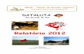 Coordenação - :: UNESP : Campus de Presidente Prudente :: · O Relatório 2012 - DATALUTA RS visa apresentar os dados de ... utilização de aplicativos como Excel e Photoshop e