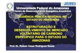 Estruturação e Desenvolvimento de Mercado Voluntário · O Estado do Amazonas tem se colocado na vanguarda das políticas ambientais.-Existência de royalties de petróleo e recursos