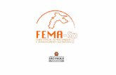 APRESENTACAO FEMA 27 de maio 2010 RUBENS[1] [Modo de ...iflorestal.sp.gov.br/wp-content/uploads/noticias/iflorestal/2010/... · Para que serve o FEMA Os recursos são destinadosa:
