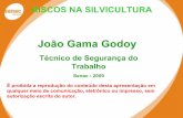 João Gama Godoy - Higiene Ocupacional · manual nos casos de rebote; ... uma carga de toras ou qualquer outra ... empilhamento; • - capacidade de transporte relativamente