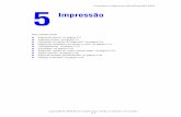 Guia do Usuário da Copiadora e Impressora Xerox WorkCentre ...download.support.xerox.com/pub/docs/C2424/userdocs/any-os/pt_BR/... · Imprimindo uma lista de fontes do sistema Para