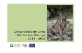 Conservação do Lince Ibérico em Portugal 2014 - 2015areasprotegidas.icnf.pt/lince/images/docs/2015-05-14-Lince-iberico... · Medidas de conservação in-situ Reintrodução JACARANDÁ