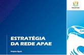 Estratégia da rEdE apaE - apaebrasil.org.br · a coordenação na condução da política de proteção social tendo a sociedade civil como parceira tanto na oferta de serviço como
