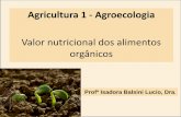Valor nutricional dos alimentos orgânicoswilson/Disciplina de Agroecologia... · de estudos sobre qualidade nutricional dos alimentos orgânicos comparados aos convencionais e encontrou