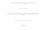 PONTIFÍCIA UNIVERSIDADE CATÓLICA DE SÃO PAULO PUC … João Dias.pdf · processo de integraÇÃo da uniÃo econÔmica e monetÁria do oeste africano - uemoa: vantagens da adesÃo