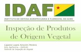Ligiane Lopes Amorim Pereira - agricultura.gov.br · Entende-se como operador de produtos de origem vegetal, qualquer pessoa física ou jurídica que lide com produtos de origem vegetal.