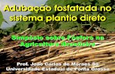 Adubação fosfatada no sistema plantio direto - IPNI - Brasilbrasil.ipni.net/ipniweb/region/brasil.nsf... · 7HRUG H3 Q RV ROR PJG P F P ... mg dm-3 . Rheinheimer, et al., 2000 .