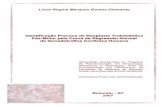 Identificação Precoce de Neoplasia Trofoblástica Pós-Molar ...livros01.livrosgratis.com.br/cp024573.pdf · Lúcia Regina Marques Gomes Delmanto Identificação Precoce de Neoplasia