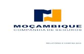 Relatório e Contas - Moçambique Companhia de SegurosC2012... · problemática ao nível da sustentabilidade orçamental e do aumento da divida externa. O crescimento da economia