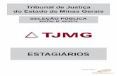 Tribunal de Justiça do Estado de Minas Gerais · qualquer ato processual pelas ... mediação B ... Não sendo possível a substituição do bem, a substituição por produto de