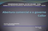 UNIVERSIDADE FEDERAL DO RIO GRANDE - FURG Instituto … · Curso: Administração . 14 ... redução progressiva dos níveis de proteção tarifária, ... administrativos e de direção