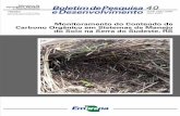 2007 · 2013-09-04 · violação dos direitos autorais (Lei no 9.610). Monitoramento do conteúdo de carbono orgânico em sistemas de manejo do solo na Serra do Sudeste, ... região