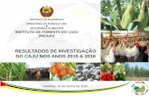 RESULTADOS DE INVESTIGAÇÃO DO CAJU NOS ANOS 2015 …incaju.co.mz/wp-content/uploads/2017/07/10.-INVESTIGACAO-2017-A.pdf · A adopção de plantas enxertadas foi positivamente influenciada