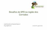Desafios do SPD na região dos Cerrados - febrapdp.org.br · SOJA CONSÓRCIO DE COBERTURAS Opção para iniciar maior aporte de MO e diversidade de culturas. ... vegetais Asteraceae.