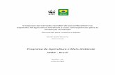 Programa de Agricultura e Meio Ambiente WWF - Brasilassets.wwfbr.panda.org/downloads/relatorio_biocombustive... · 2009-08-29 · 3.3.4 Investimentos em infra-estrutura logística