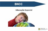 BNCC - educacao.caxias.rs.gov.br · gradativamente vá interiorizando esses conceitos para que possa desenvolvê-los com autonomia. Estabelecer uma convivência social harmoniosa.