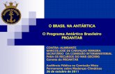 O BRASIL NA ANTÁRTICA O Programa Antártico Brasileiro ... · Antártica é o continente mais alto de todos ... países e admite que se tornem partes ... possibilidade de Conferência