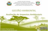 GESTÃO AMBIENTAL - Campus universitário de Sinopsinop.unemat.br/site_antigo/prof/foto_p_downloads/fot_7050aula_3... · Avaliação de Impactos Ambientais ... – Portos e terminais