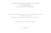 Análise de Viabilidade Econômica na Região Portuária ...monografias.poli.ufrj.br/monografias/monopoli10010602.pdf · Análise de Viabilidade Econômica na Região ... desenhos
