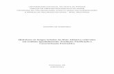 Hidrolases de fungos isolados da Mata Atlântica cultivados ...tede.unioeste.br/bitstream/tede/691/1/Diandra.pdf · SLIVINSKI, 2007). A utilização dos fungos filamentosos para a