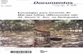 CPATU Documentos - CORE · do Pará, são áreas climaticamente vocacionadas para a seringueira, onde se registra um forte período chuvoso (1.900 mm), seguido de quatro a cinco meses