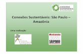 Conexões Sustentáveis: São Paulo – Amazônia Balanco...poder público para debater: ... Repórter Brasil Empresas: Carrefour Grupo Orsa Grupo Pão de Açúcar ... a respeito do