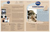 CO REIOS CORREIOS DPVAT - centauroseg.com.brcentauroseg.com.br/centauro/centauro/noticias/pdf/centauronews06.pdf · O ano de 2007 vai fazer parte da história da ... trabalho de regulação