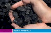 Escola Portuguesa do Lubango ROCHAS BIOGÉNICAS Hélder ...lubangocomciencia.weebly.com/uploads/9/4/4/0/9440481/rochas... · Carvão e petróleo 21 O carvão, o petróleo e o gás