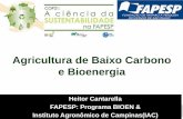 Agricultura e ambiente - FAPESP :: Fundação de Amparo à ... · Bioenergia: energia renovável – recicla o CO 2 COP21 Ciência & Sustentabilidade na Fapesp CO 2 + H 2 O Fotossíntese