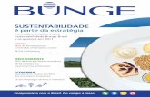SuStentabilidade é parte da estratégia - Bunge ... · SuStentabilidade é parte da estratégia Conheça a plataforma de sustentabilidade Bunge Brasil ... Bioenergia, Agronegócio
