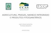 Agricultura, Pragas, manejo integrado e defensivos agrícolas Pragas... · pragas no brasil 1988 - vespa da madeira (s) 1989 - cancro da haste da soja (pr) 1991 - mariposa das rosÁceas