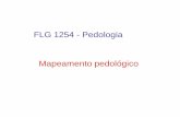 FLG 1254 - Pedologia aula 08geografia.fflch.usp.br/.../2s_2011/FLG_1254-Pedologia_aula_08.pdf · interpretar as estruturas da ... assembléias, horizontes) e seu funcionamento. A