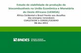 Estudo de viabilidade de produção de …£o e Visão Missão Promover o desenvolvimento sustentável e competitivo da economia brasileira, com geração de emprego e redução das