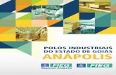 POLOS INDUSTRIAIS - sistemafieg.org.br · o conceito de central de inteligência logística, com acesso eficiente aos eixos de transporte rodoviário, ferro-viário e aeroportuário,