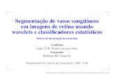 Segmentação de vasos sangüíneos em imagens de retina ...joao/retinal-website/references/apresentac... · Perﬁs dos vasos aproximadamente gaussianos Bordas opostas dos vasos