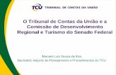 O Tribunal de Contas da União e a Comissão de ... · Visão Geral e primeiras recomendações do TCU: Acórdão n. 2919/2009 ... do Rio Grande do Norte (RN), Ministério da ...