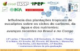 Influência das plantações tropicais de eucaliptos sobre ... · eucaliptos sobre os ciclos do carbono, da água e dos nutrientes: avanços recentes no Brasil e no Congo J-P Laclau,