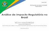 Análise de Impacto Regulatório no Brasil · avançado para multiplicadores a partir de agosto e com abordagem prática Condução de projetos piloto a partir de agosto ... organizacionais