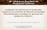 38° Congresso Brasileiro de Pesquisas Cafeeiras · aureolada em mudas de cafeeiro. Tabela 2 –Severidade, avaliada por uma escala de notas (1-5) de mancha aureolada em mudas de