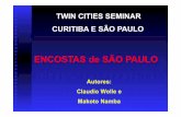 TWIN CITIES SEMINAR CURITIBA E SÃO PAULO - Acqua … · presentes nos maciços e que passam a influenciar ... DE TALUDES APRESENTADOS NO TEXTO TWIN CITIES ... 6 Morro do Piolho Zona