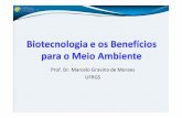 Prof. Dr. Marcelo Gravina de Moraes UFRGS - cib.org.br · •Insetos provocam danos severos •O uso de inseticidas causa riscos as pessoas e ao meio ambiente •Cry e VIP são proteínas