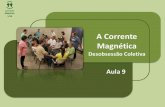 Apresentação do PowerPoint - casadeguara.orgcasadeguara.org/wp-content/uploads/2018/02/9ª-Aula-A-Corrente... · de medicação, persuadidos que toda emanação mórbida não pode