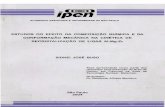 ipenpelicano.ipen.br/PosG30/TextoCompleto/Sidnei Jose Buso_D.pdf · RECRISTALIZAÇÃO DE LIGAS Al-Mg-Zr SIDNEI JOSÉ BUSO Tese apresentada como parte dos requisitos para obtenção