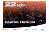 Capital Natural - p22on.com.br · lançada em 2007 pela Alema-nha e Comissão Europeia. O ... “No setor de agro, por exemplo, existem iniciativas muito baca- ... portância que