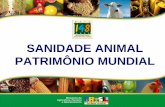 SANIDADE ANIMAL PATRIMÔNIO MUNDIAL - cfmv.org.br · Segurança ao consumidor ... introdução e manutenção do agente viral Ativo Abatedouros Aglomerações de animais Inquérito