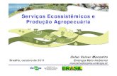 Serviços Ecossistêmicos e Pd ã A iáProdução Agropecuária · Desenvolvimento de Metodologias de Avaliação de Impactos/Serviços Ambientais (ecológicos, sociais e de conhecimento)