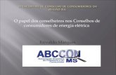 O papel dos conselheiros nos Conselhos de consumidores de ... · 10º CEMAR - COMPANHIA ENERGÉTICA DO MARANHÃO 2100 11º CELTINS - CIA DE ENERGIA ... A declaração foi feita hoje